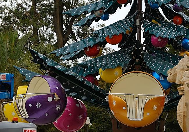 Cápsulas del 'árbol mágico'.