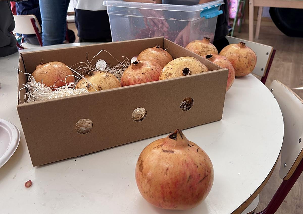 Imagen secundaria 1 - La campaña educativa permite a los más pequeños conocer el origen y el sabor de la granada mollar.