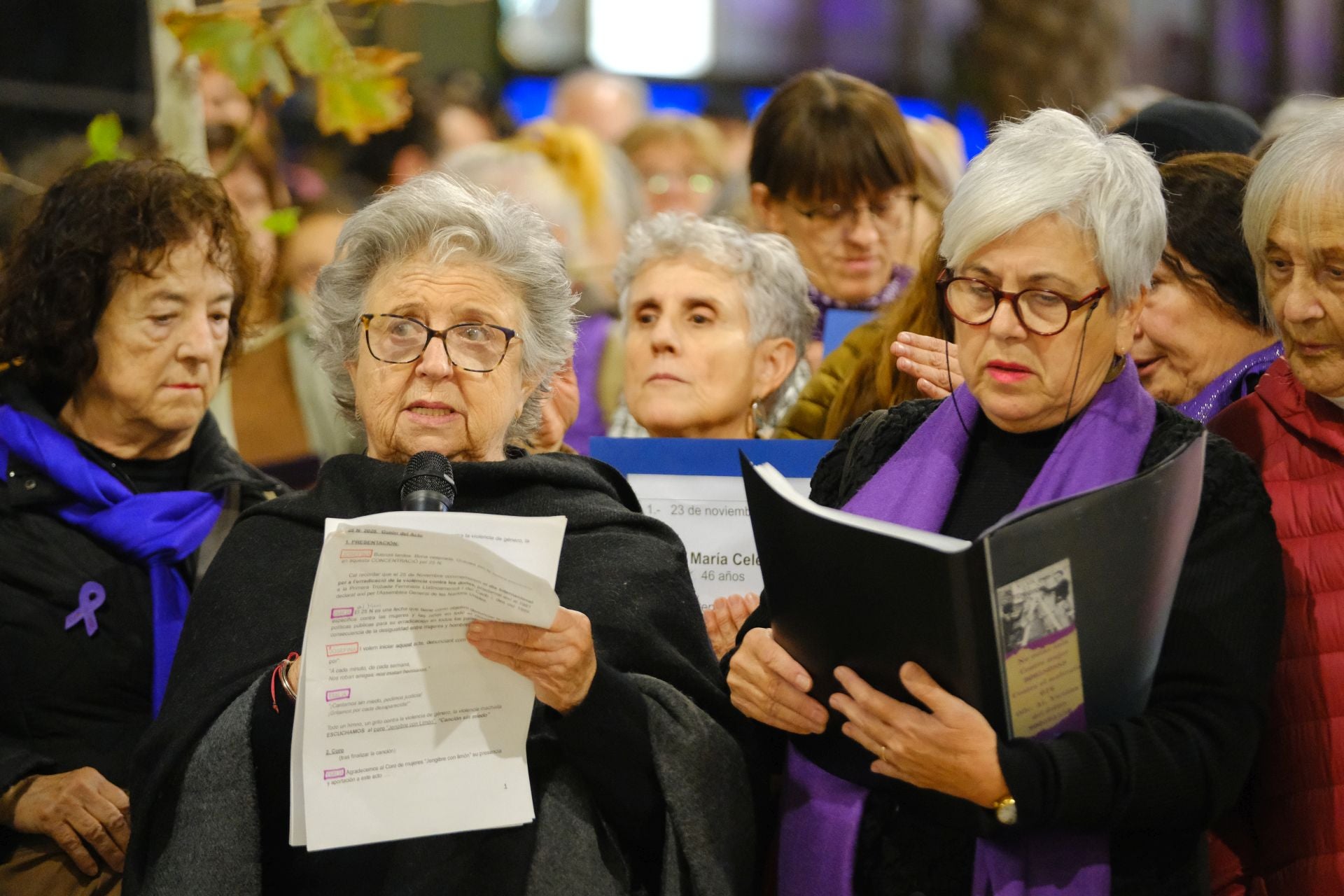 Alicante levanta la voz contra la violencia de género el 25N