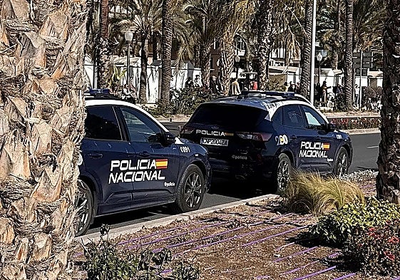 Imagen de archivo de dos patrullas de la Policía Nacional en Alicante.