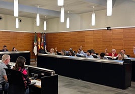 El pleno municipal durante la sesión ordinaria celebrada este 26 de noviembre en San Vicente del Raspeig.