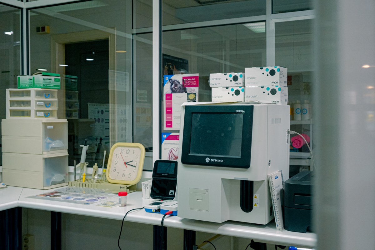 La clínica veterinaria que cuida a los perros policía de Alicante, en imágenes