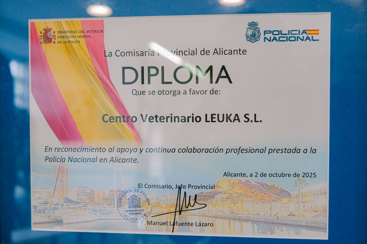 La clínica veterinaria que cuida a los perros policía de Alicante, en imágenes