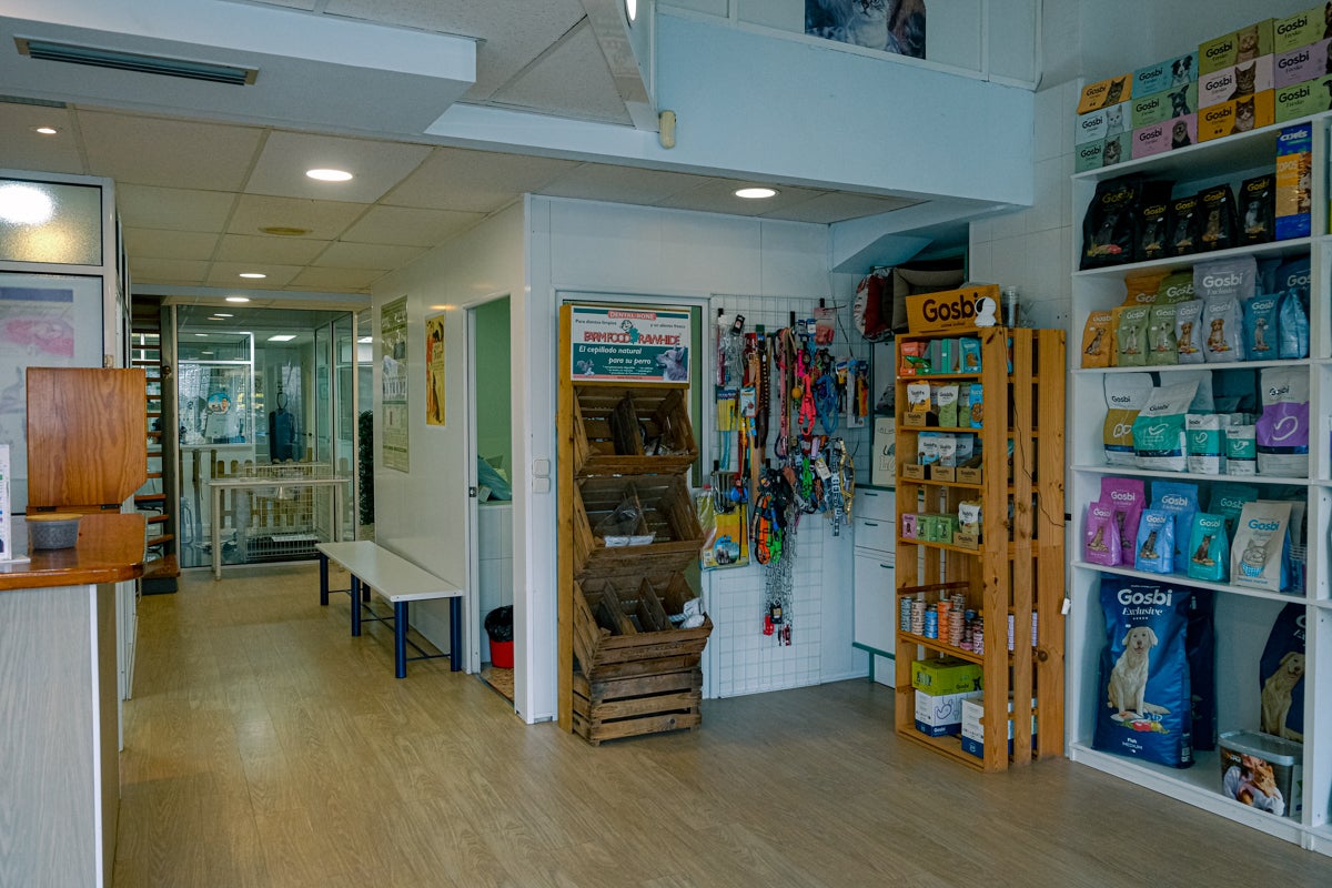 La clínica veterinaria que cuida a los perros policía de Alicante, en imágenes