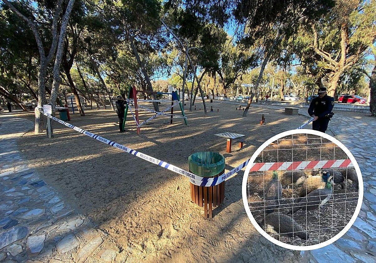 Parque Reina Sofía precintado/Pavos reales confinados.