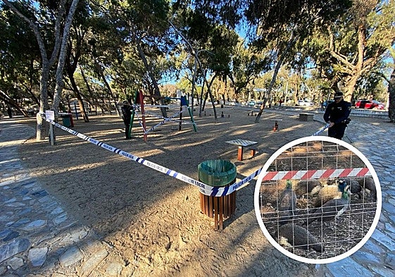 Parque Reina Sofía precintado/Pavos reales confinados.