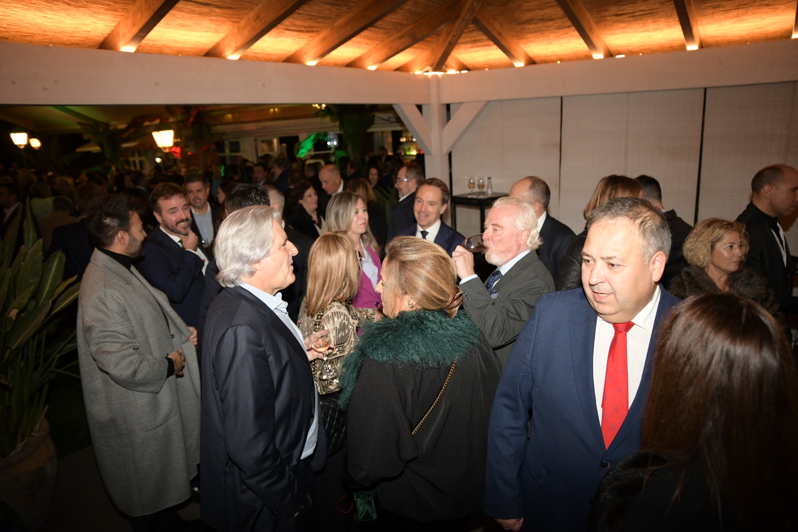 Cientos de asistentes dan la &#039;Bienvenida a la Navidad&#039; en la gala solidaria de Vectalia