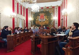Reunión del Consejo Municipal de Personas con Diversidad Funcional, en el Salón de Plenos.