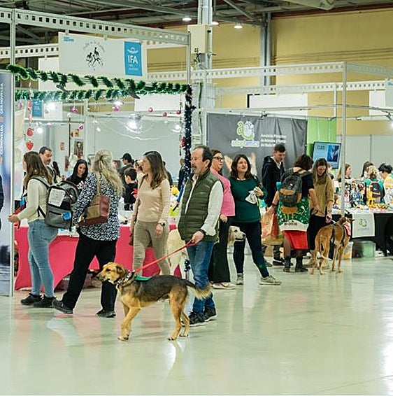 Expomascotas 2025 reunirá en IFA a miles de familias, profesionales y amantes de los animales en un fin de semana lleno de actividades y exhibiciones.