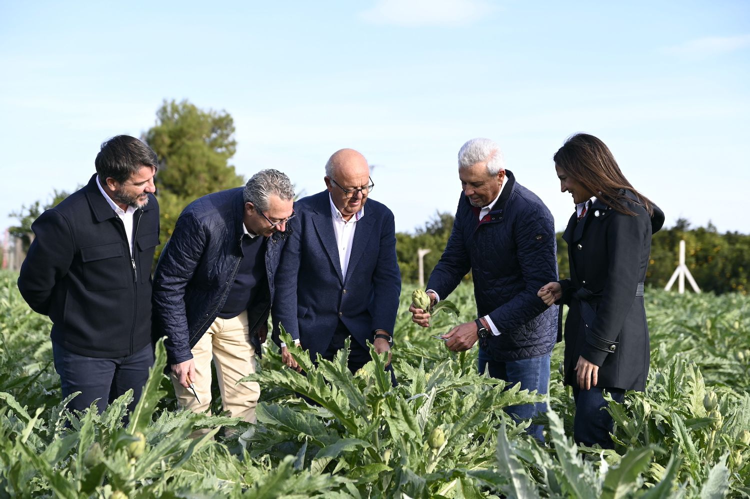 Campaign launch with authorities in an artichoke field.